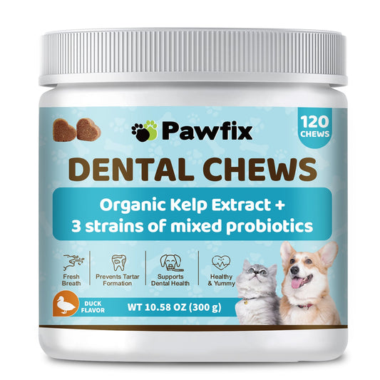 Dental Chews