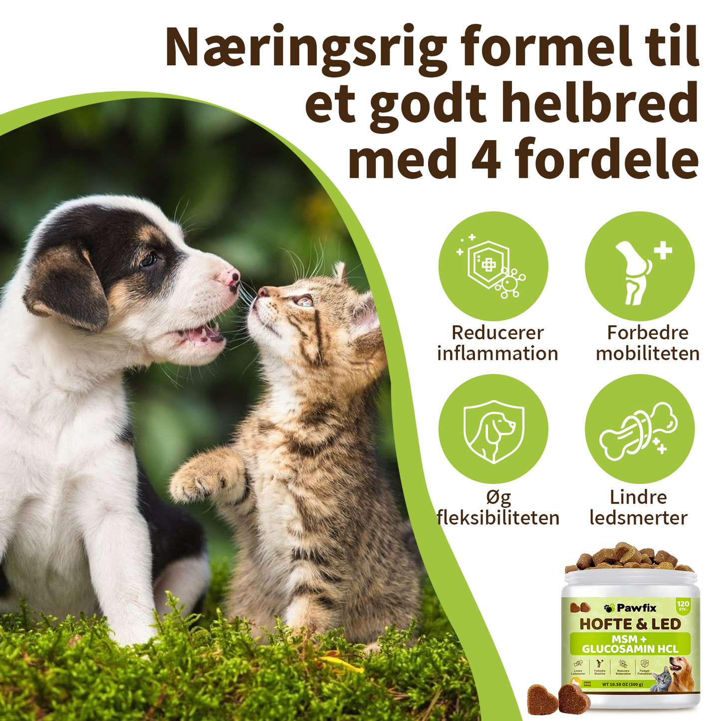 Hofte – & Ledtilskud til hunde