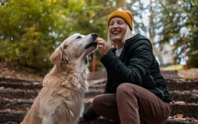 Effektiv træning af din hund med belønning