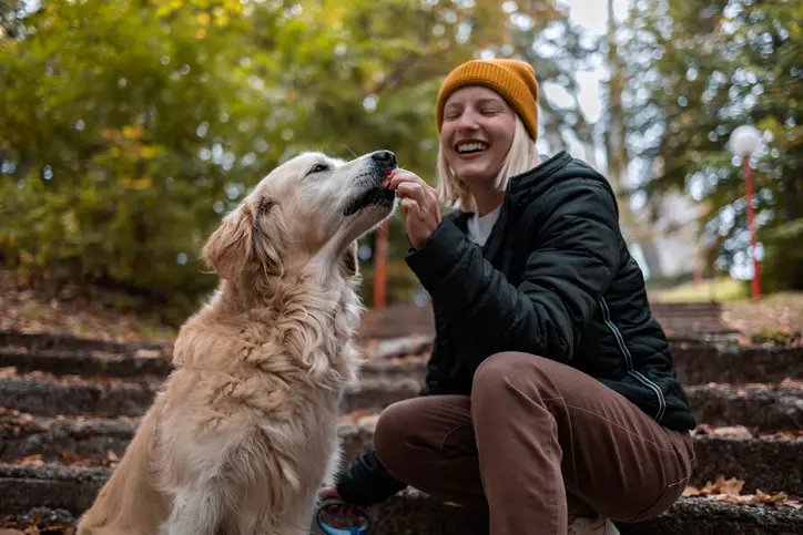 Effektiv træning af din hund med belønning